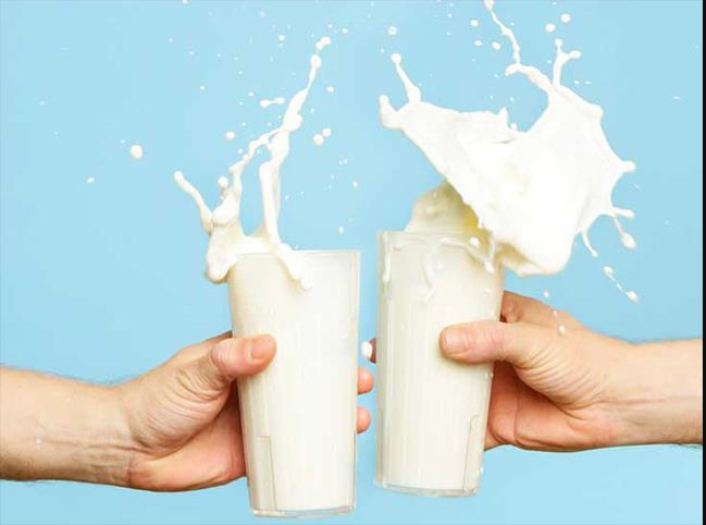 پاسخ 4 کارشناس تغذیه به اینکه آیا شیر برای ما واقعا مفید است؟