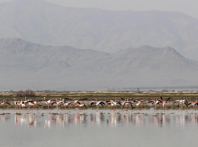 تالاب بین‌المللی کمجان در شهرستان خرامه