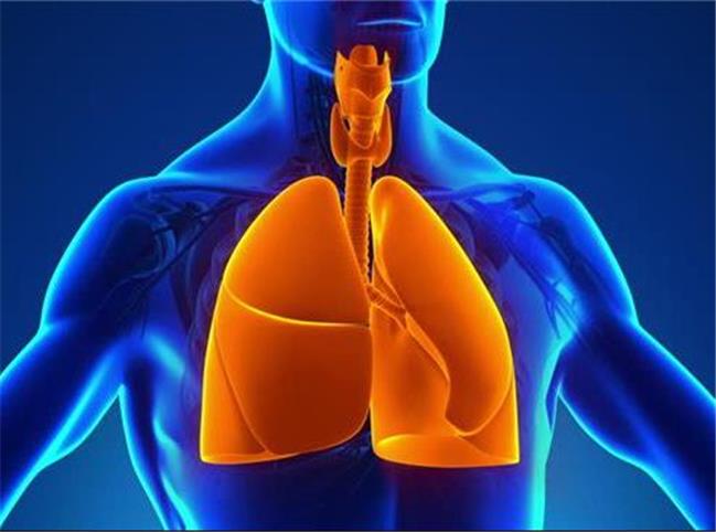 6 راهکار ساده برای تقویت دستگاه تنفسی و ریه ها