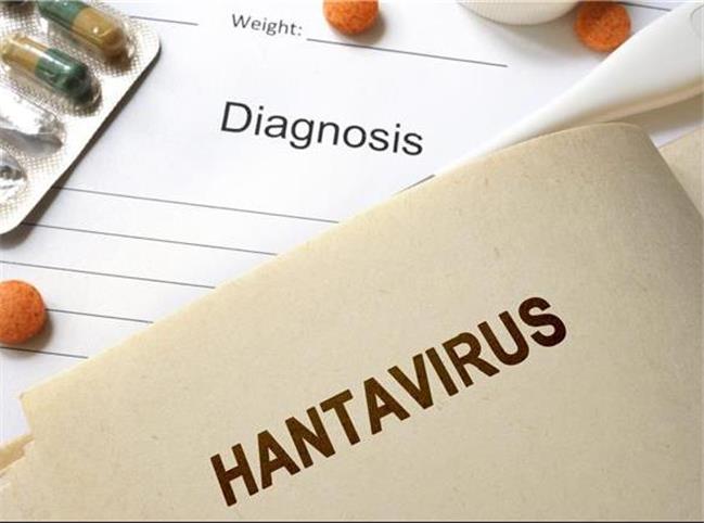 احتمال شیوع یک بیماری دیگر در چین؛ مرگ یک مرد با «هانتا ویروس»