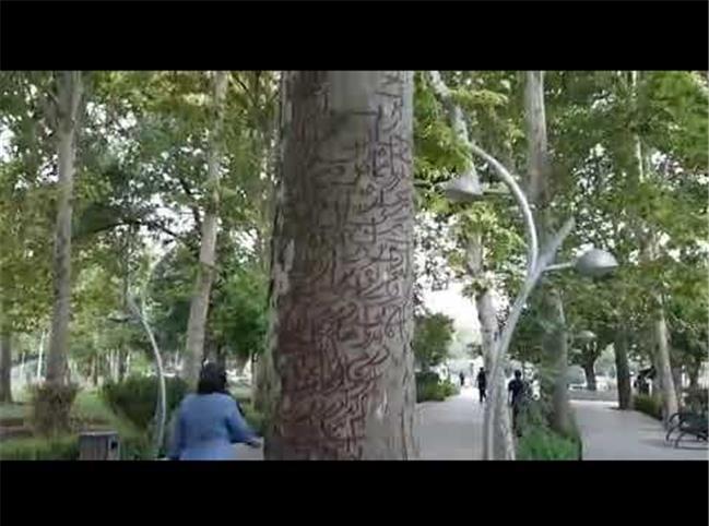 ماجرای طلسم درختان پارک لاله تهران چه بود؟
