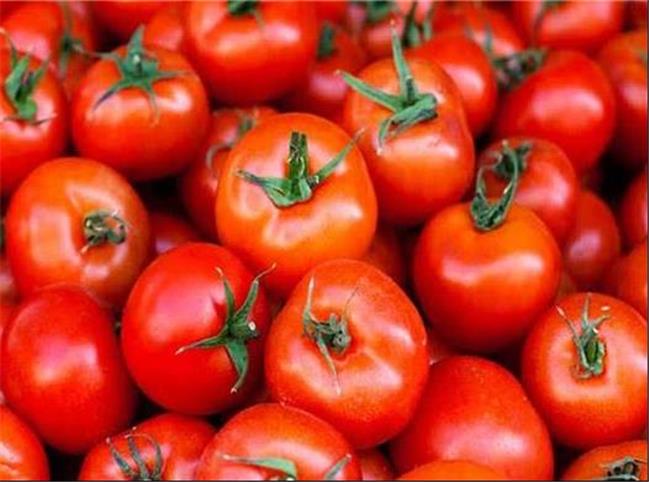 عوارض مصرف گوجه فرنگی با برخی مواد غذایی