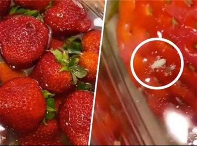 قبل از خوردن توت فرنگی حتما آن را در آب نمک خیس کنید