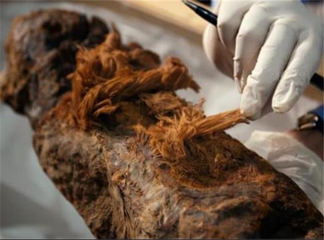 بررسی‌های جدید روی مومیایی‌ کشف شده در مصر می‌تواند منجر به بازنویسی تاریخ شود