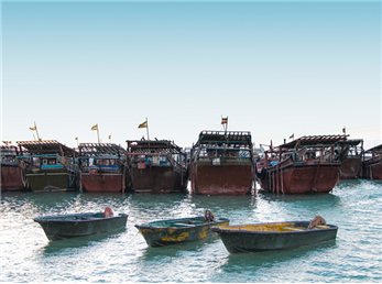 در سفر به جنوب، کجا را ببینیم؟