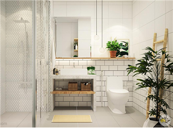 چه گیاهانی برای تزیین سرویس بهداشتی مناسب هستند؟