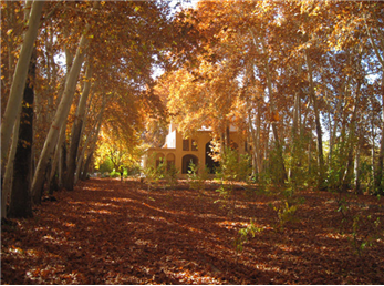 چشم نواز ترین مناظر پاییزی را کجای ایران ببینیم ؟