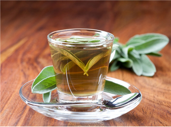 درباره گیاه جادویی مریم گلی و خاصیت‌های آن چه می‌دانید؟