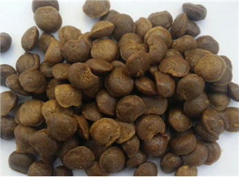 بره موم و خواص فوق العاده ضد باکتری و میکروب آن