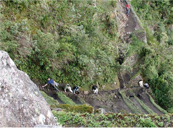 پله کان  مرگ کجاست ؟