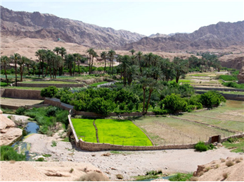 ازمیغان بهشت گمشده ای در دل کویر