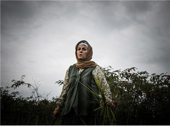 بازیگران و عوامل سریال گیله وا +ساعت پخش و تکرار