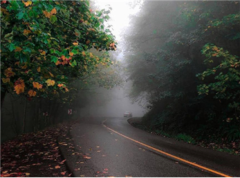 شکوه پاییز در جاده اسالم به خلخال