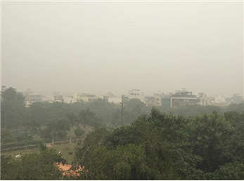 هنگام آلودگی هوا چه خوراکی هایی بخوریم؟