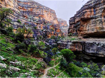 تنگه شیرز کجاست؟