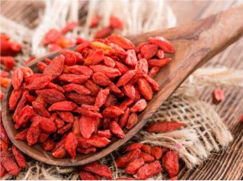 گوجی بری چیست+ خواص و عوارض گوجی بری