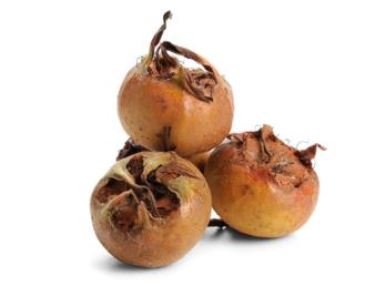 آشنایی با خواص مفید ازگیل