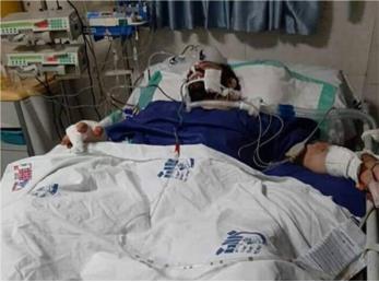 ضارب هانی کرده دستگیر شد