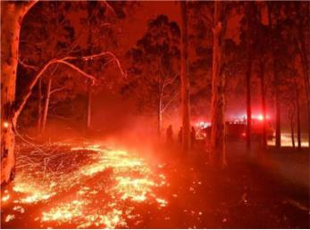 استرالیا هنوز در آتش است، صحنه هایی از آتش سوزی عظیم در استرالیا