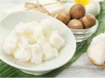 شی باتر یا کره درخت شی چیست؟