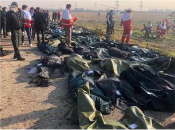 دومین نجات یافته از پرواز اکراین چه کسی بود؟