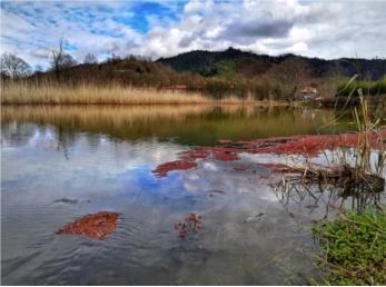 تالاب سوستان کجاست؟