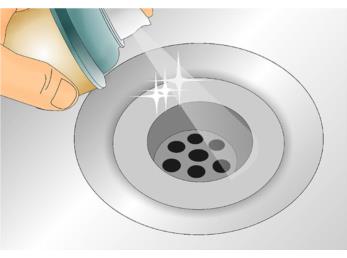 مگس فاضلاب چیست و راه های از بین بردنش چگونه است؟