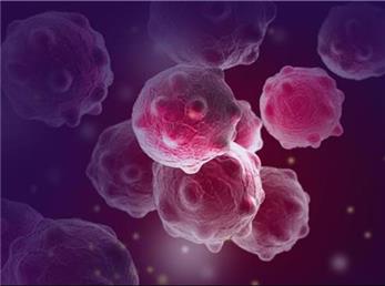 کشف جدیدی که می‌تواند به درمان سراسری سرطان بینجامد