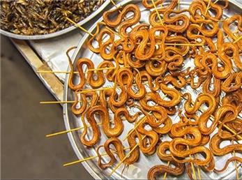 همه آنچه که از ویروس کرونا باید بدانیم