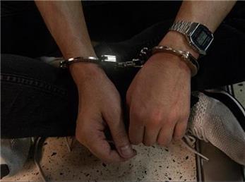 هشت ایرانی در ترکیه به اتهام کلاهبرداری بازداشت شدند