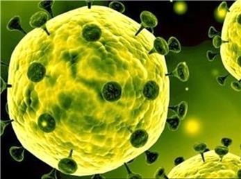 ماجرای نامه به روحانی درباره ابتلا ی 35 نفر به کرونا