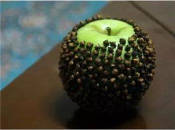 «سیب میخک کوب» یادآور عشق اول