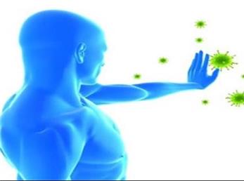 با این 20 ماده غذایی سیستم ایمنی بدن را تقویت کنید