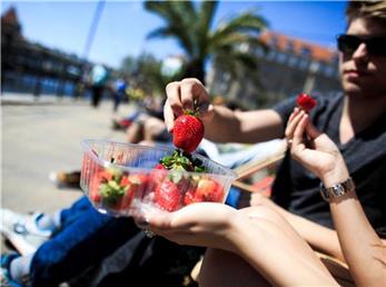 میوه مورد علاقه تان راز شخصیت شما را فاش می کند!