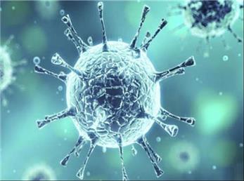 بهبودی 2 بیمار مبتلا به کرونا در تهران