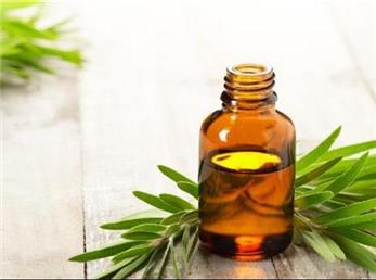 14 خاصیت مفید روغن درخت چای؛ یک ضدعفونی کننده قوی