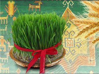 طرز تهیه انواع سبزه عید به زبان ساده