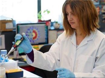 واکسن «ویروس کرونا» کی ساخته می‌شود؟