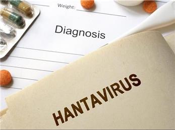 احتمال شیوع یک بیماری دیگر در چین؛ مرگ یک مرد با «هانتا ویروس»