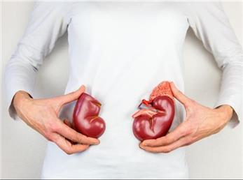 5 نوشیدنی طلایی برای سلامت کلیه ها