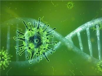 تازه ترین آمار از مبتلایان و فوتی های کرونا در ایران؛ 29 فروردین