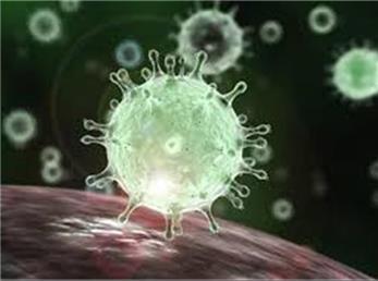 تازه ترین آمار از مبتلایان و فوتی های کرونا در ایران؛8 اردیبهشت