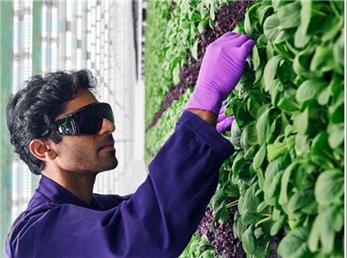 9 چیز که در دهه‌های آینده نابود خواهند شد