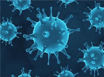 تازه ترین آمار از مبتلایان و فوتی های کرونا در ایران؛ 17 اردیبهشت