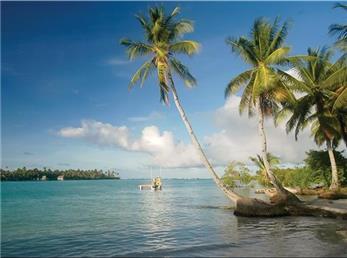 راز عجیب مبتلا نشدن فقیرترین کشور جهان به کرونا