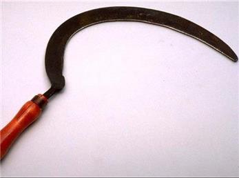 عکس خصوصی رومینا اشرفی و بهمن دوست پسرش / این عکس پدر تالشی را از خود بی خود کرد