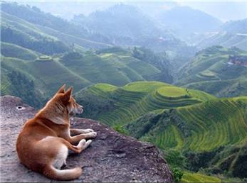 آیا جهانی که ما در آن زندگی می‌کنیم  واقعا زیبا و رنگی است؟