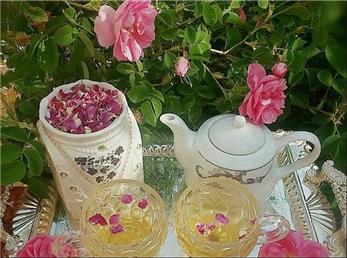 خواص مفید گلاب چیست؟ آیا گلاب در درمان کرونا موثر است؟