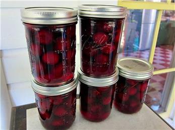 طرز تهیه ترشی آلبالو