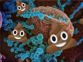 آیا کرونا از طریق سرویس بهداشتی مشترک منتقل می‌شود؟